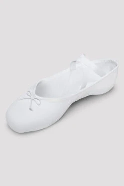 Mens Perfectus Canvas Ballet Shoes -Dance Shoes Store S79C5LCZ